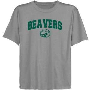  Bemidji State Beavers Youth Ash Logo Arch T shirt  Sports 