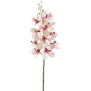  25 Vanda Orchid Spray (Box of 12)