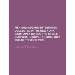 Fish and megainvertebrates collected in the New York Bight apex during 