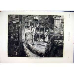   1876 Leadenhall Poultry Market Birds Cages Sale Print