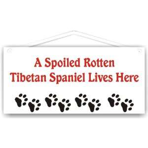  A Spoiled Rotten Tibetan Spaniel Lives Here Everything 