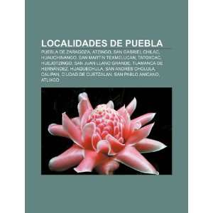   Texmelucan, Tatoxcac, Huejotzingo (Spanish Edition) (9781231733264