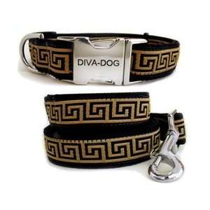  Caesar II Collar & Leash Collection