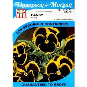   & Morgan 3078 Pansy Brunig Seed Packet Patio, Lawn & Garden