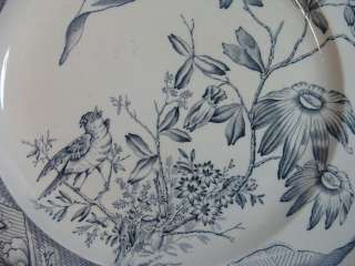   Davenport Transferware Blue Java Singing Bird Floral Branch Plate
