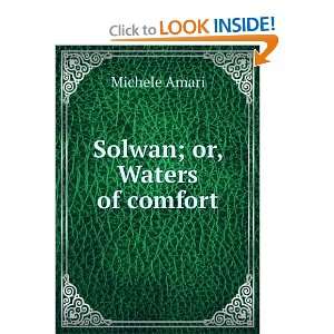  Solwan; or, Waters of comfort Michele Amari Books