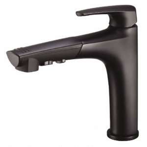  Danze D456710BS Taju Single Handle Pull Out Kitchen Faucet 