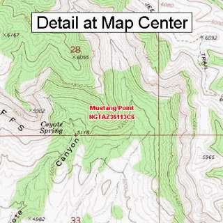  USGS Topographic Quadrangle Map   Mustang Point, Arizona 