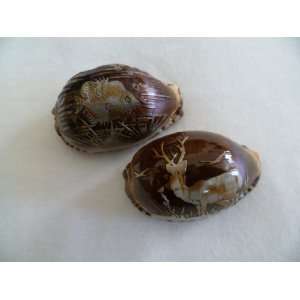  Assorted Carved Cowrie Sea Shell 