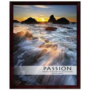 Successories Passion Sea Spray Unmatted Framed 