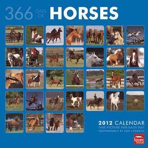  365 Days of Horses 2012 Wall Calendar