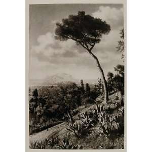  1926 Monte Pellegrino Mountain Palermo Sicily Sicilia 