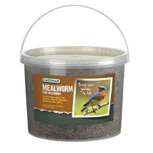  Meal Worms Tub, 28 oz Patio, Lawn & Garden