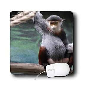  Monkey   Douc Langur Monkey   Mouse Pads Electronics