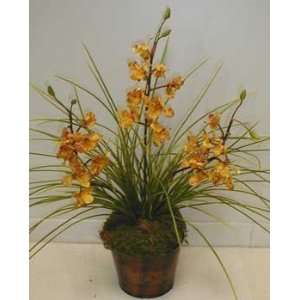 Triple Cymbidium Orchid SOLD OUT 