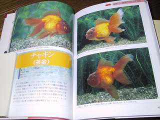 Fish Book Japanese Goldfish Ranchu Catalogue 1  