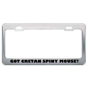 Got Cretan Spiny Mouse? Animals Pets Metal License Plate Frame Holder 