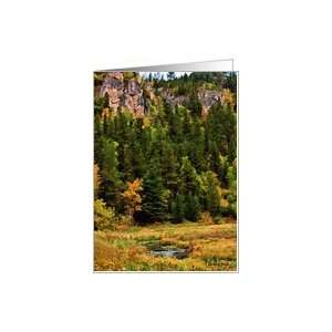  Autumn in Spearfish Canyon, South Dakota   all occasion 