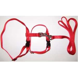  Small Red H Style Lead and Harness set