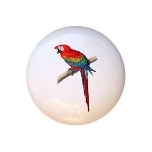  Birds Scarlet Macaw Drawer Pull Knob