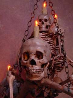 Skeleton Chandelier, Halloween Prop, Human Skeletons  