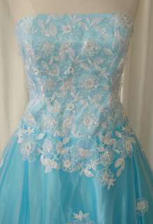 Gorgeous Cinderella Ball Gown Dress Party Gala Evening Pageant Brand 