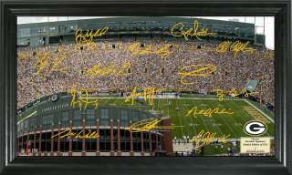 Green Bay Packers 2011 Signature GridIron Stadium Photo  