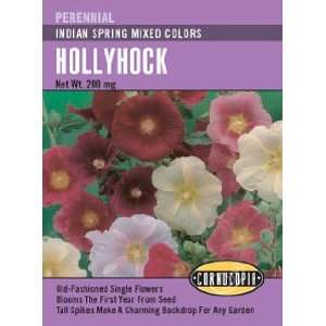  Hollyhock Indian Spring Mixed Colors Seeds Patio, Lawn 