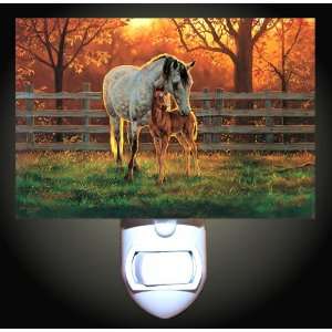  Horse and Colt at Sunset Decorative Night Light