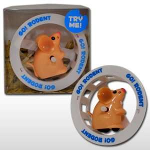  Go Rodent   Low Maintenance Pet Substitute Toys & Games