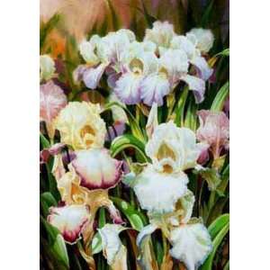 Darryl Trott   Iris I 