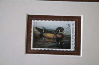 DUCKS UNLIMITED 2001 Dennis Minor 18th Annual Stamp Print  