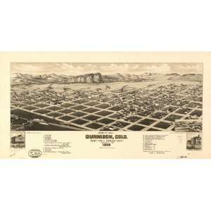  c1882 Birds eye map of Gunnison, Colorado