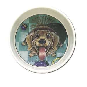  Patterson Feed Me Dog Bowl
