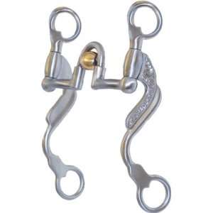   Steel Brushed Correctional Show Bit   Stainless Steel Brushed   5 1/8