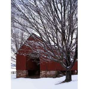  Barn and maple after snowfall, Fairfax County, Virginia 