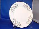 ADDERLEY FINE BONE CHINA 8 PLATE LOVE IN THE MIST items in Flubes 