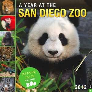  A Year at the San Diego Zoo 2012 Wall Calendar Office 