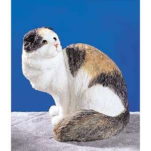 Scottish Fold Longhair Cat Collectible Figure H 4