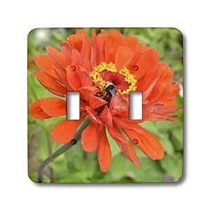 com Patricia Sanders Flowers   Autumn Floral  Bee in a Zinnia Flower 