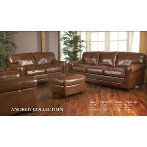  Andrew Italian Leather Living Room Set