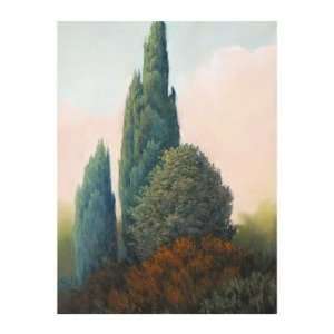  Tuscan Trees I Poster Print