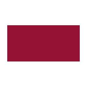  Deco Art Patio Paint 2 Ounces Holly Berry Red DCP 43; 6 
