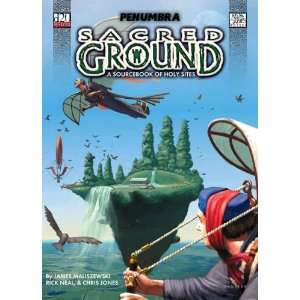    Sacred Ground   Sourcebook of Holy Places (d20) Toys & Games