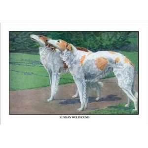  Exclusive By Buyenlarge Russian Wolfhound 12x18 Giclee on 