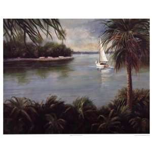  Palmetto Cove   Poster by Barbara Shipman (29x23)