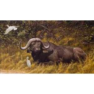  Robert Bateman   A Resting Place Cape Buffalo