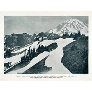   Park Alpine Firs Hemlocks   Original Halftone Print