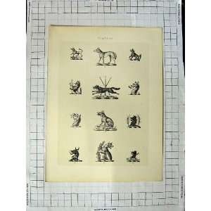  A Plate Of Heraldry Crests C1790 C1900 Wild Animals