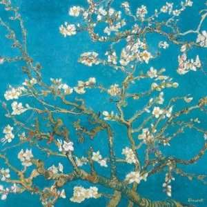 Vincent Van Gogh   Almond Branches In Bloom, San Remy 